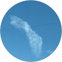 Natalie Youngquist profile picture